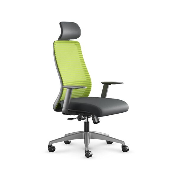 خرید صندلی مدیریتی اروند مدل 8016 | هونیک