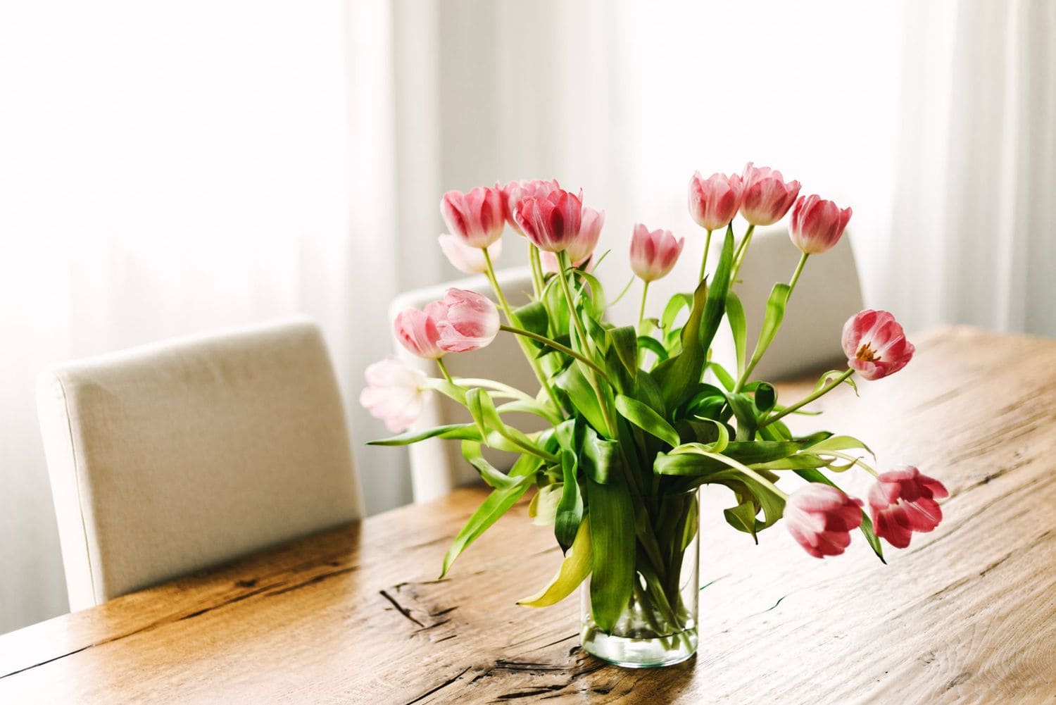 بهترین حرارت و دما برای نگهداری گل |‌هونیک